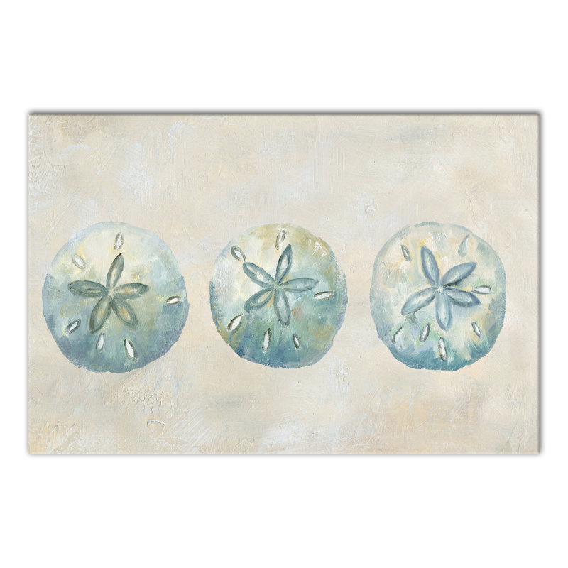 " Sand Dollars ", 12" H x 18" W x 1.25" D