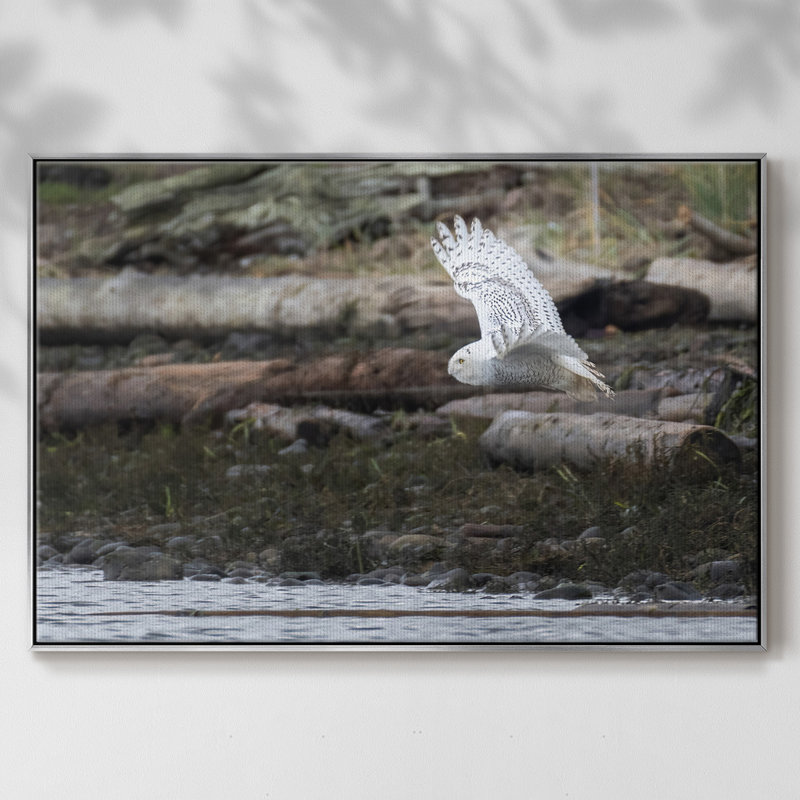 «Solo Flight», reproduction d'art sur toile, H 25 po x l 37 po x P 2 po, Argent