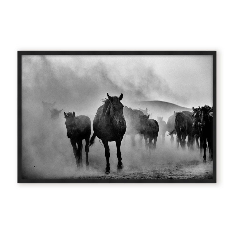 Nature Inspired Untitled by  - Picture Frame Photograph on Paper, 32" H x 48" W x 1.125" D, Black, Framed Matted Print