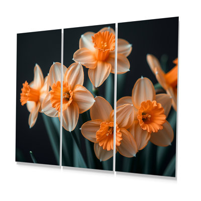 Gaige - Daffodils Wall Art Print Set
