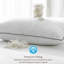 Oreillers de confort ValenciaLux-1699089006