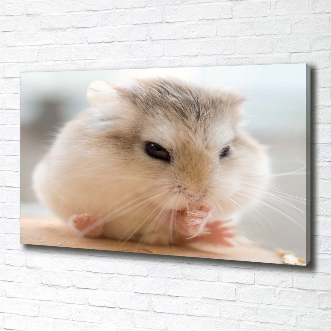 Hamster - Kunstdrucke auf Leinwand - Wrapped Canvas