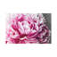 5by5collective - Wrapped Canvas Print-101339590-101339589-101339599