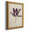 «Antique Tulip Study IV», toile encadrée de qualité supérieure - prête à être accrochée-940902901