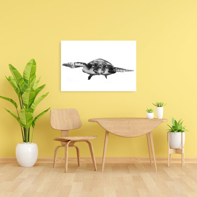 Graceful Sea Turtle Minimalist Turtle Wall Art Print 1 Piece Wrapped Canvas Wall Art