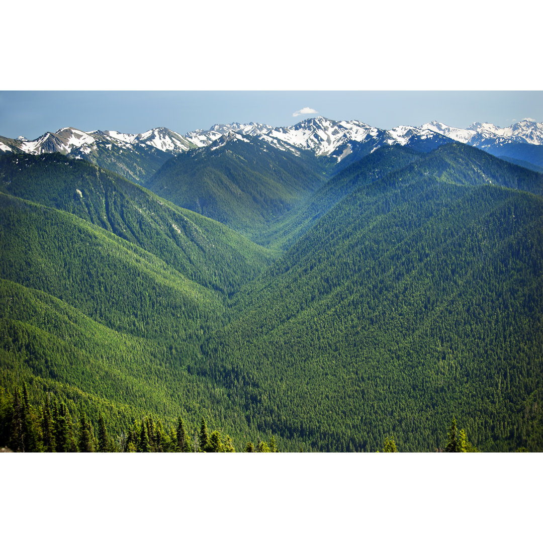 Wandbild Grüne Wände, Schneeberge, Hurricane Ridge, Olympic National Park, Washington