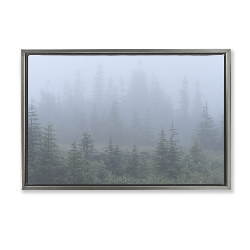 Toile flottante encadrée «Foggy Forest Trees» par Hunter Page, H 17 po x l 25 po, Cadre flottant gris lustré