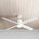 Cairns 52'' Ceiling Fan with LED Lights