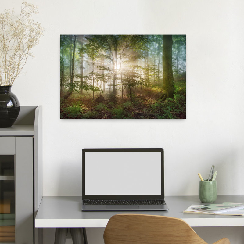 «Morning Sun», art contemporain de paysage forestier abstrait, H 16 po x l 24 po