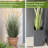 4ft Artificial Onion Grass Plant with 7 Feathery Flower Heads, Faux Horsetail Reed Grass in Pot, Indoor Outdoor Realistic Floor Greenery for Home Office Décor-926450179