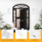 Tiernan 1-Light Outdoor Wall Lantern-1905093587-1905093551