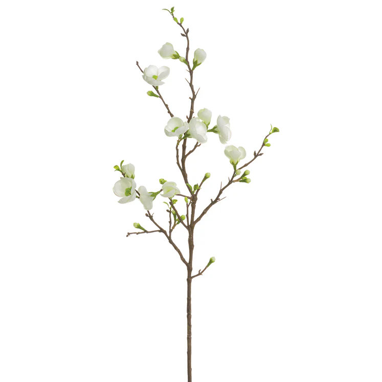 35"Quince Blossom Stem (2 Colours), Cream