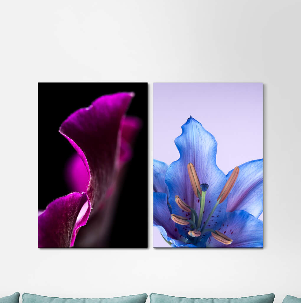 2-tlg. Leinwandbilder-Set - Fotografie „Orchid Flowers Blue Fragile Delicate”