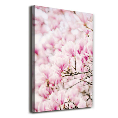 Magnolia Flowers - Wrapped Canvas Print