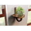 Boise Round Mango Solid Wood Floating Shelf