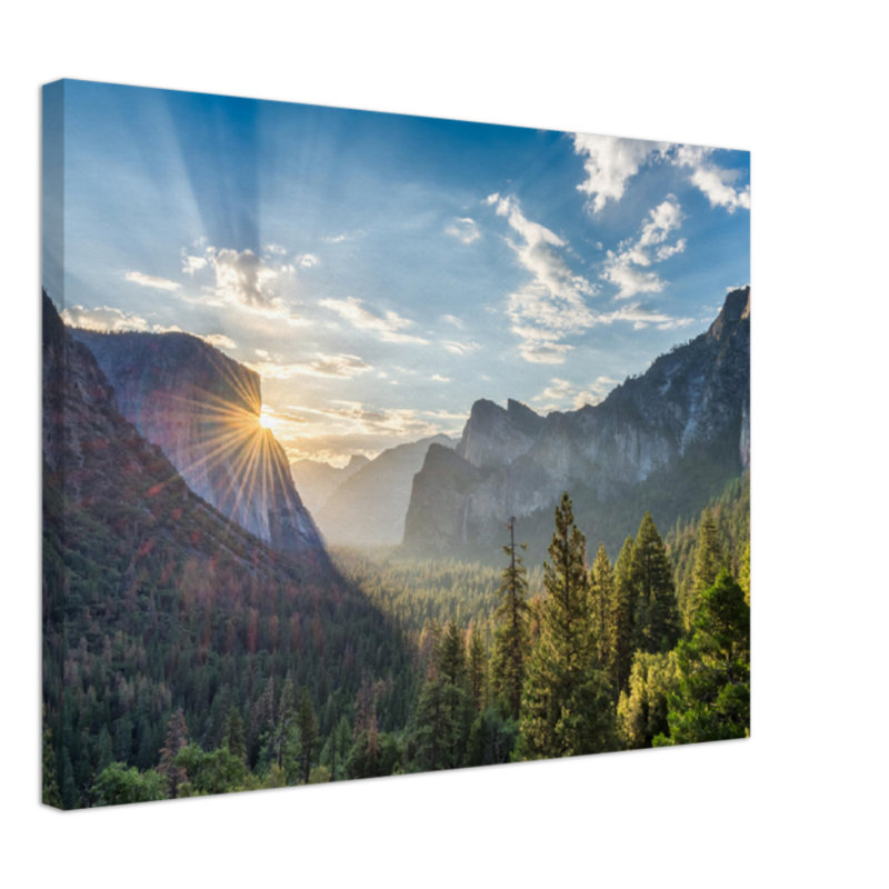 Reproduction de forêt de Yosemite - Parc national de Yosemite, H 24 po x l 32 po x P 0,12 po