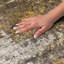 Tapis à poils longs de qualité supérieure lavable à la machine Dream-1234559561-1234559572
