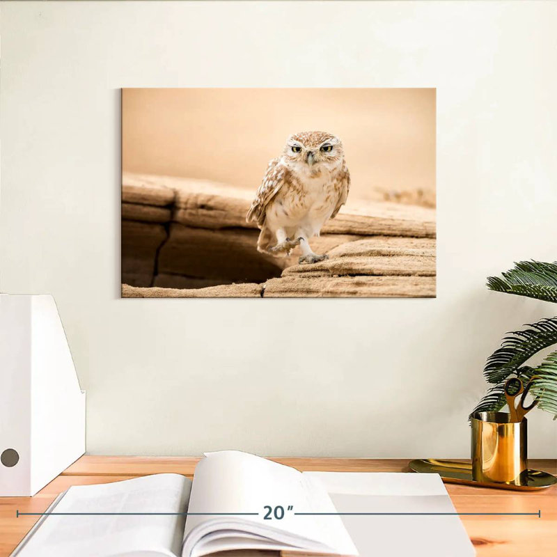 Hibou du désert Brampt, 8" H x 12" W