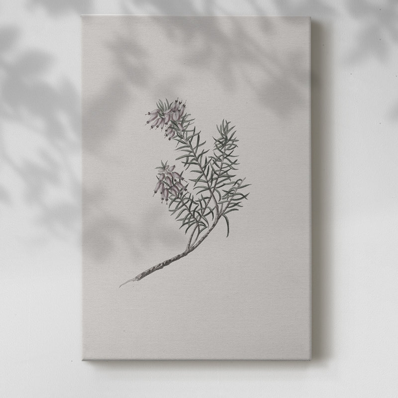 Imprimé floral rétro CLXIX - galerie Cavas, H 12 po x l 8 po