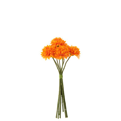 Mum Arrangement