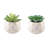 Gamache 7'' Faux Succulent in Ceramic Pot