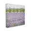 Conception d'art sur toile Ophelia & Co. par LSR Design Studio-1588342784