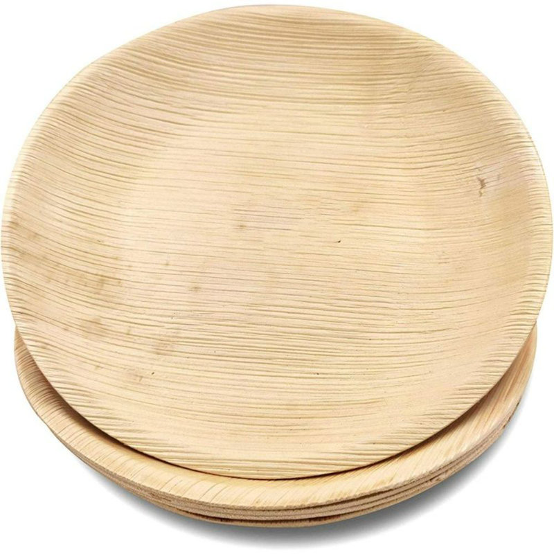 Disposable Birthday Dinner Plate
