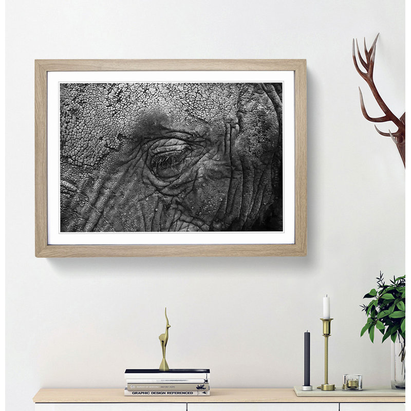 Elephant - Picture Frame Graphic Art Print, 62cm H x 87cm W x 2cm D, Oak Framed