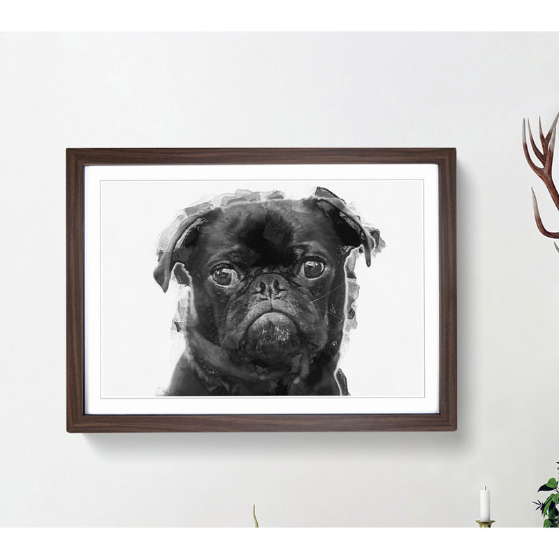 Pug Dog in Abstract - Framed Print, Walnut, 60cm H x 91cm W x 2cm D