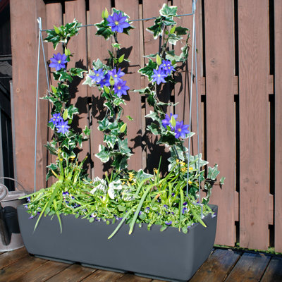 Support pour plante à structure extensible