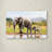 Armand 'Elephant' Print on Canvas-21648716