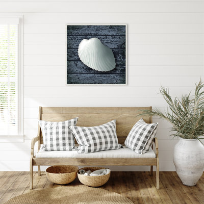 Seashore Shells Navy I by Marie Elaine Cusson Framed Canvas Wall Art Print