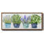 Collection Fresh Herb - toile encadrée-110586758