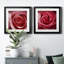 Rose sauvage - Encadrée sous verre acrylique, ensemble de 2, grande décoration murale pour salon-61458012-61458017