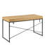 Adrista Metal Base Writing Desk-584186834