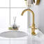 2-handle Bathroom Faucet with Drain Assembly
