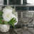 Lustre Beveled 3" x 6" Pressed Glass Singular Subway Wall Tile