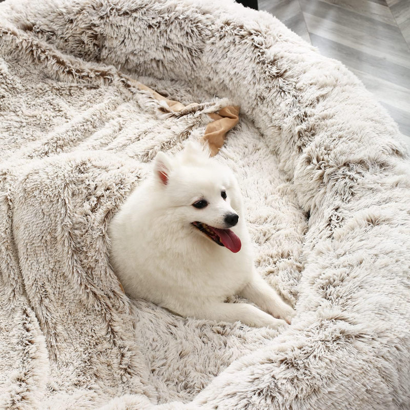 Beignet