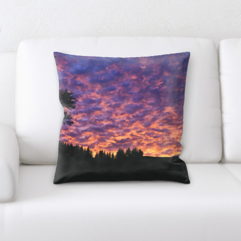 Coussin décoratif