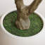 Olive artificielle H 96 po avec pot de fleurs blanc Ashwell