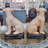 Animal Figurines & Sculptures