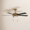 Marcin 52'' 5 Blade Ceiling Fan with LED Light Kit
