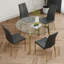 Table de cercle moderne en verre de style moderne, design transparent élégant, ensemble de chaises de salle à manger en polyuréthane à base de support durable, pieds de chaise plaqués or, convient aux cuisines de restaurant (ensemble de 5)