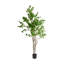 Faux Bonsai Tree in Pot-760590337