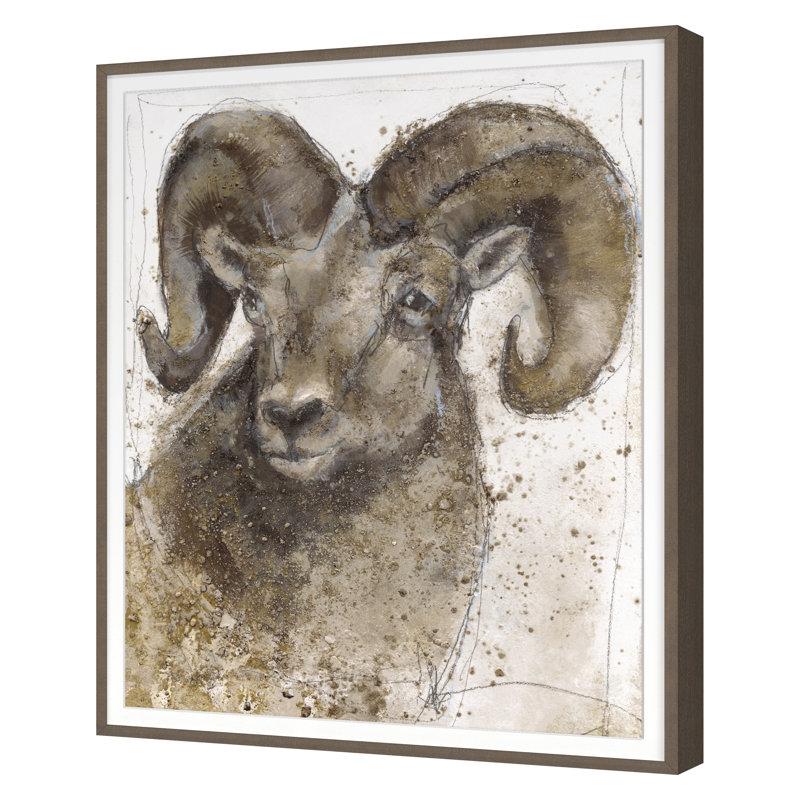 «Bighorn Sheep 1» par Maeve Harris - reproduction d'un seul cadre, H 30 po x l 24 po x P 1,5 po, Cadre noyer