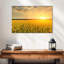 Alvord Sunset Field-107524581