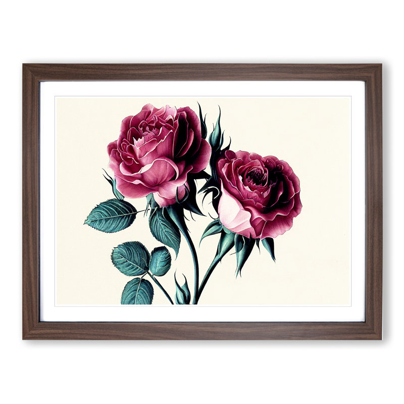Timeless Rose Flowers - Single Picture Frame Print, 34cm H x 46cm W x 2cm D, Walnut Framed