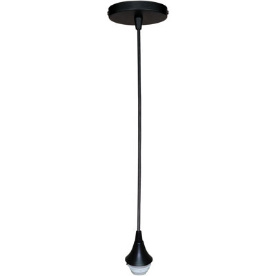 1 - Light Single Pendant