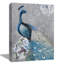 Paon - peinture sur toile tendue