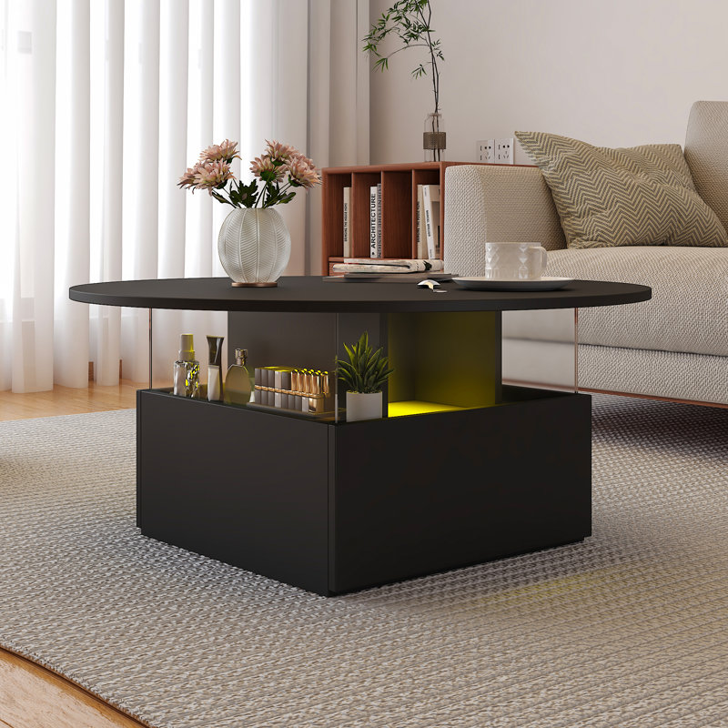 Solid Round Coffee Table with Two Drawers, Black